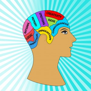 brain function map